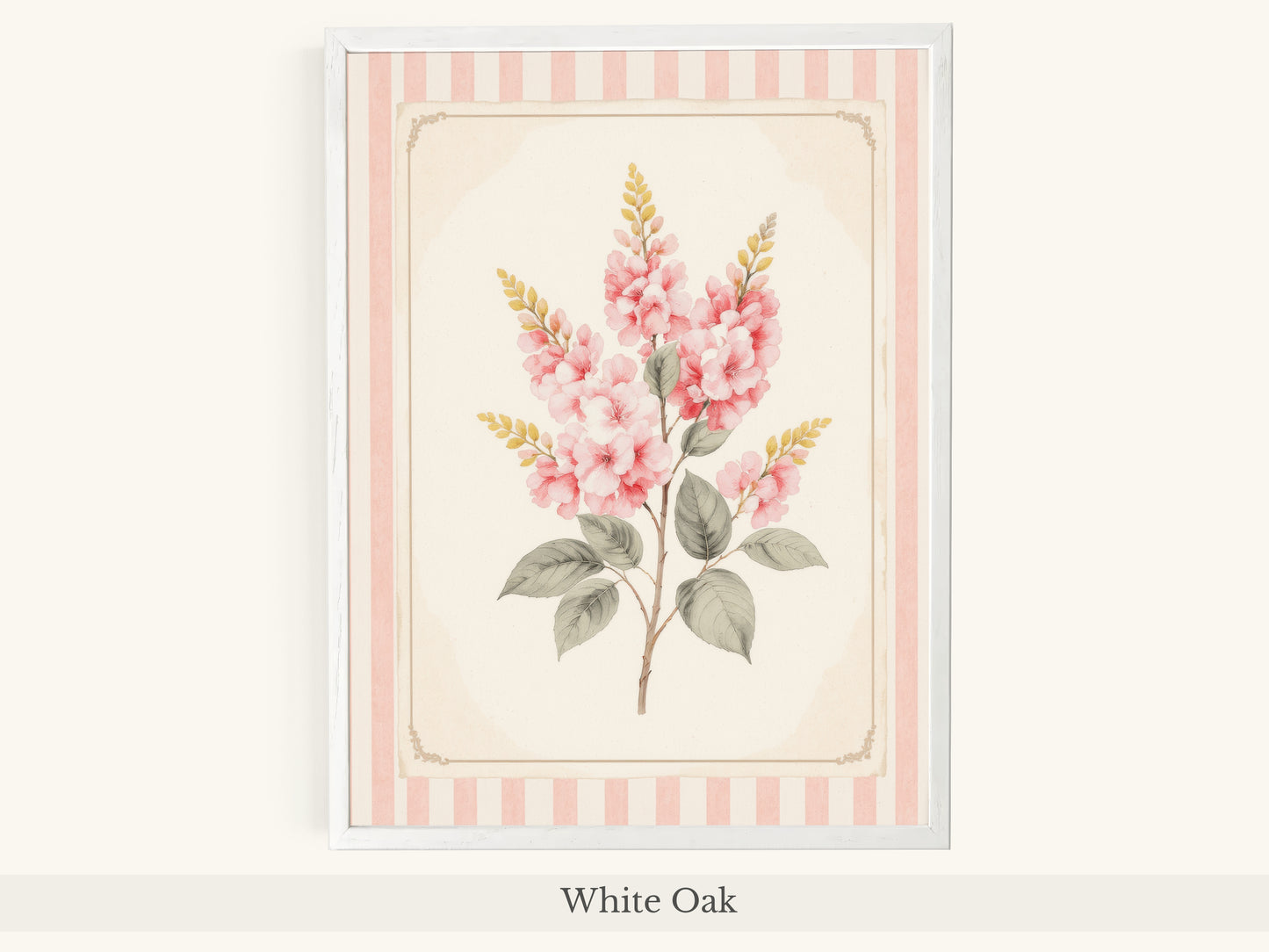 Pink Foxglove Botanical