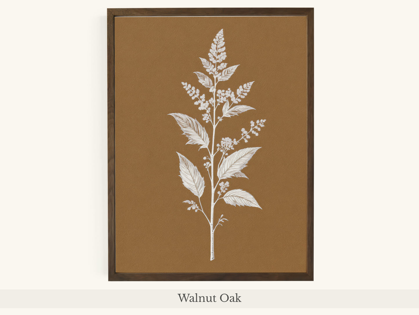 White Botanical Branch Brown Background