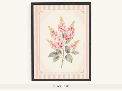 Pink Foxglove Botanical