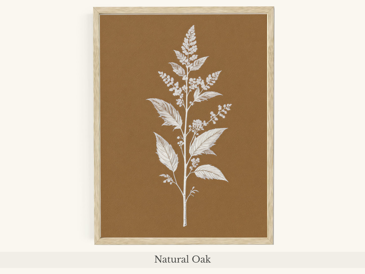 White Botanical Branch Brown Background