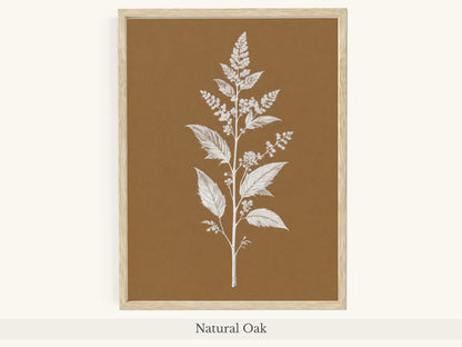 White Botanical Branch Brown Background
