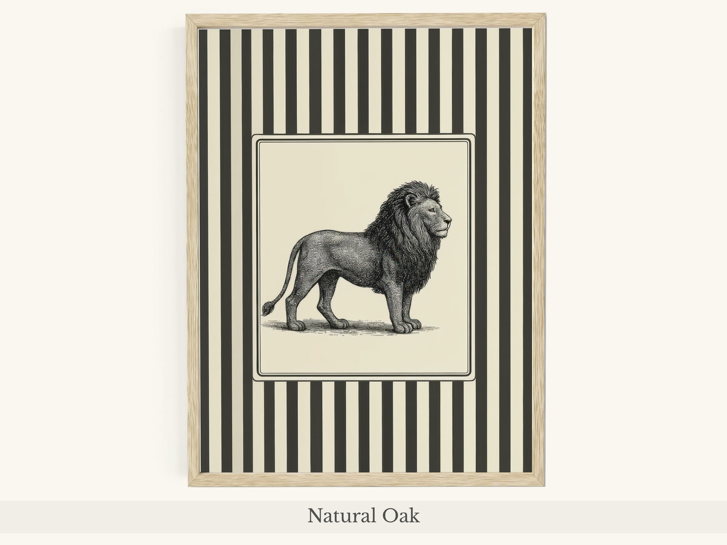 Lion Portrait Black White Striped