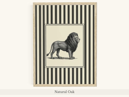 Lion Portrait Black White Striped