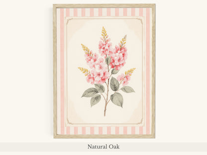 Pink Foxglove Botanical