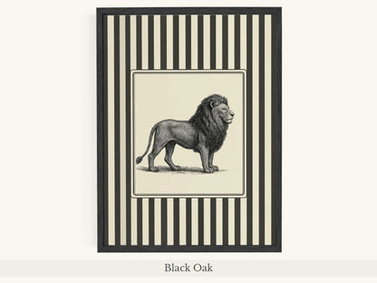 Lion Portrait Black White Striped