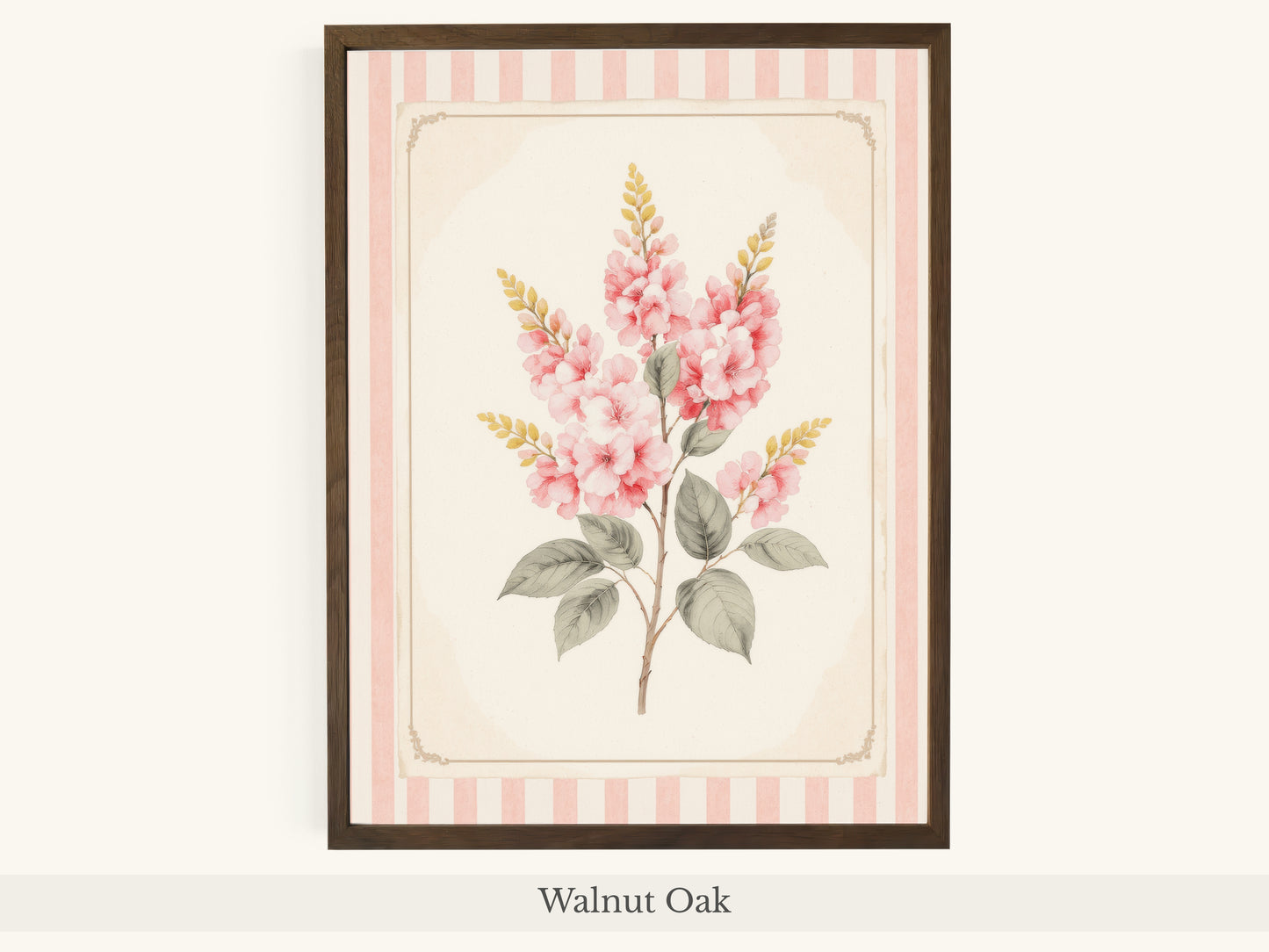 Pink Foxglove Botanical