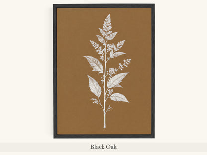 White Botanical Branch Brown Background