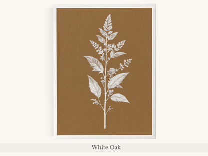 White Botanical Branch Brown Background