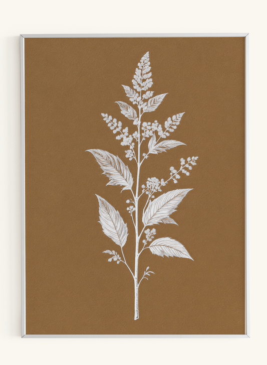 White Botanical Branch Brown Background