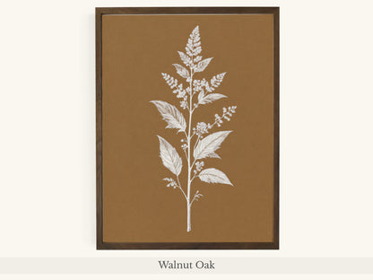 White Botanical Branch Brown Background